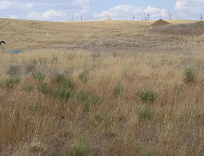 Участок (ижс), 6 сот.