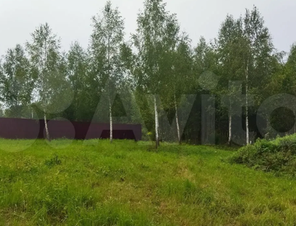 Участок (садоводство), 9,5 сот.