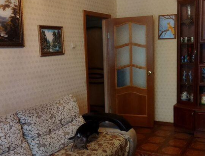 1-к. квартира, 30&nbsp;м²
