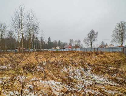 Участок (садоводство), 12,4 сот.