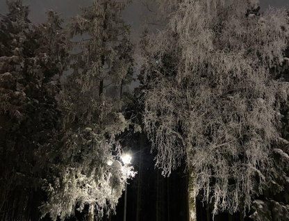 2-к. квартира, 60,6&nbsp;м²