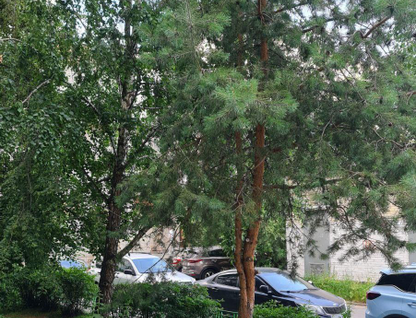 5-к. квартира, 115,8&nbsp;м²