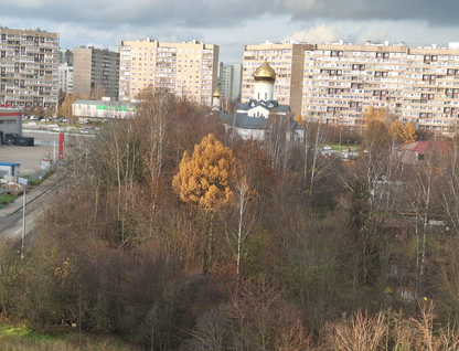 Студия, 20 м²