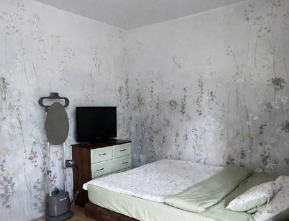 1-к. квартира, 49,2&nbsp;м²