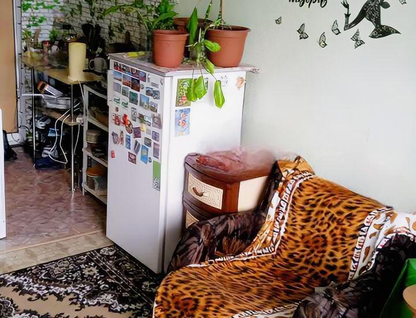 Студия, 17&nbsp;м²