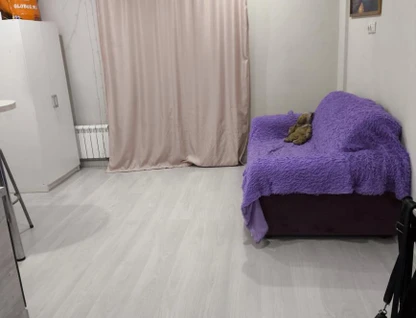 Студия, 25&nbsp;м²