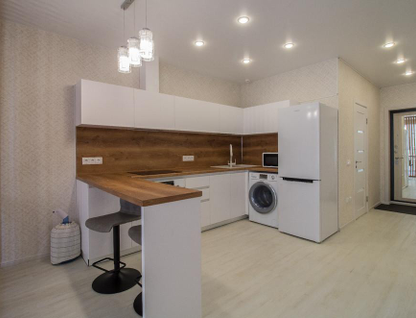 1-к. квартира, 49&nbsp;м²