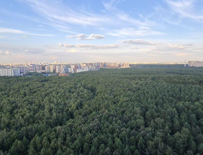 1-к. квартира, 46,4&nbsp;м²