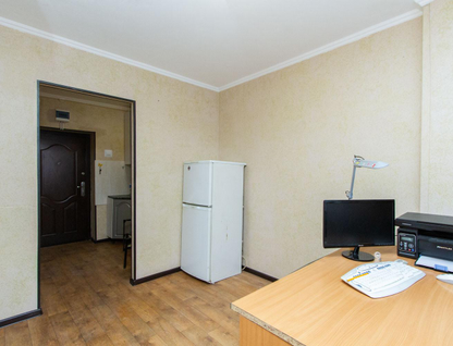 Студия, 17,3 м²