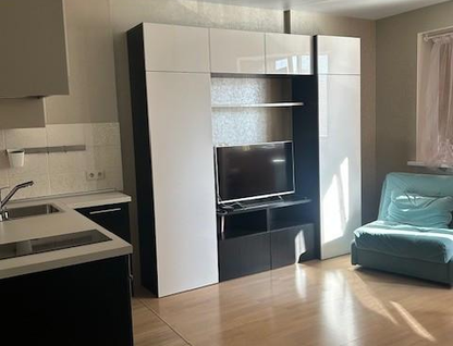 Студия, 30,1&nbsp;м²