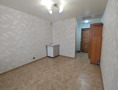 Студия, 17&nbsp;м²