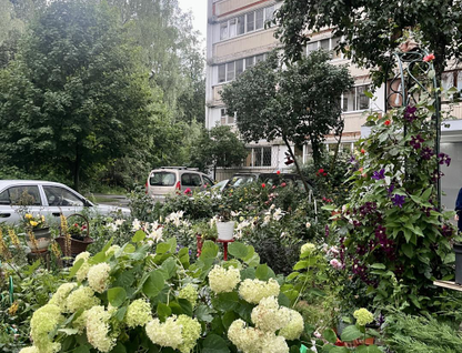 2-к. квартира, 53,5&nbsp;м²