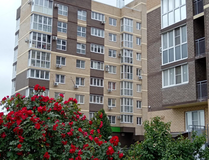Студия, 26 м²