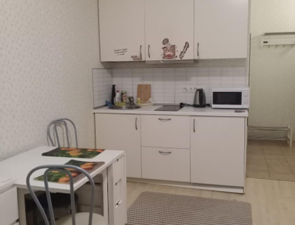 Студия, 25&nbsp;м²