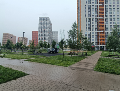 3-к. квартира, 81,7&nbsp;м²