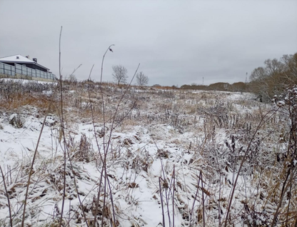 Участок (ижс), 8 сот.