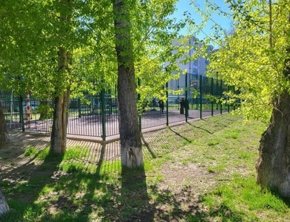 Студия, 24,4 м²