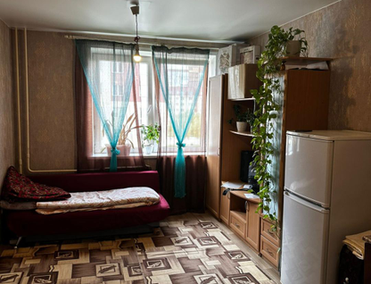 Студия, 24,2&nbsp;м²
