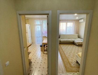 1-к. квартира, 43,8&nbsp;м²