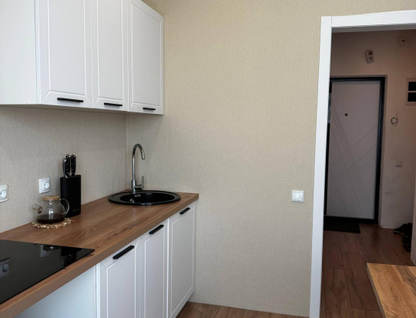 1-к. квартира, 29,4&nbsp;м²