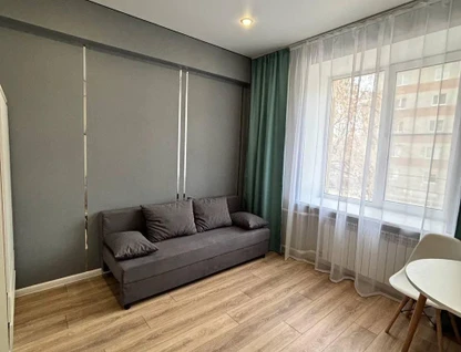 Студия, 20&nbsp;м²