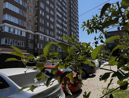 1-к. квартира, 40&nbsp;м²