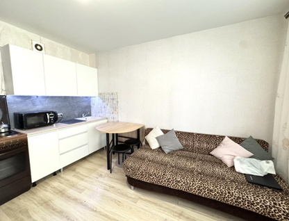 Студия, 23&nbsp;м²