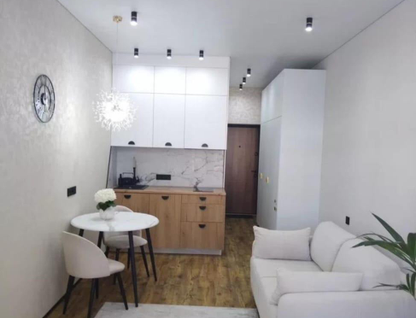 Студия, 26,6&nbsp;м²