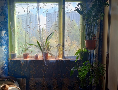 Комната, 15 м²