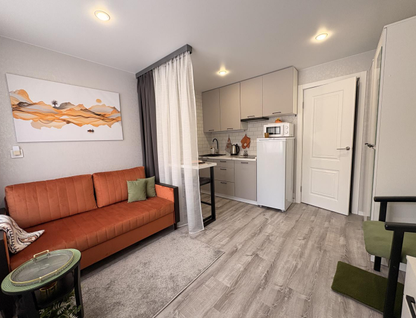 Студия, 20 м²