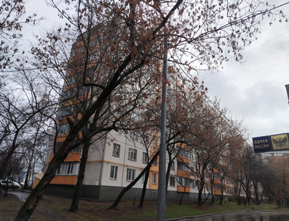 3-к. квартира, 50,8 м²